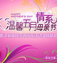 感動(dòng)母親節策劃方案