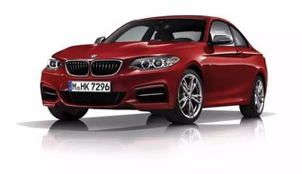 寶馬汽車(chē)11.17慈善酒會(huì )執行策劃方案