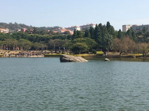 暢游鼓浪嶼策劃方案