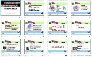 動(dòng)物園的活動(dòng)策劃方案