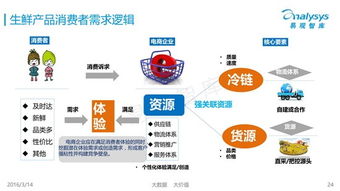 鮮有道生鮮電商商業(yè)策劃方案
