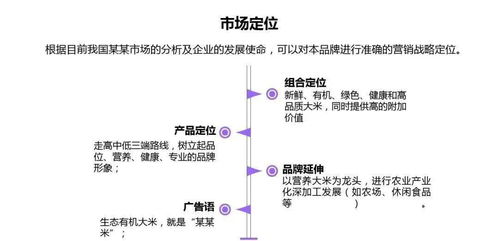 成都天樂(lè )城北項目營(yíng)銷(xiāo)策劃方案