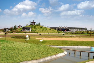 田園綜合體策劃方案