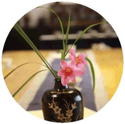 云南茶會(huì )的策劃方案