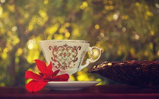 人生艱苦正能量的句子