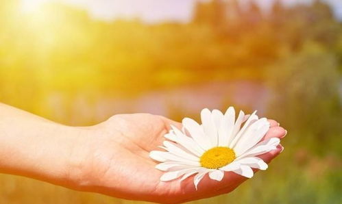 簡(jiǎn)短,句子,能量,充滿(mǎn)