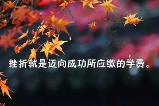 發(fā)朋友圈的句子正能量,發(fā)朋友圈的精美句子正能量,早晨的句子發(fā)朋友圈正能量