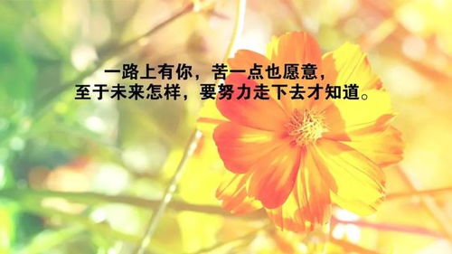 早安勵志正能量的句子,好心態(tài)早安正能量句子,早安語(yǔ)錄正能量的句子