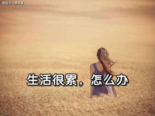 累的時(shí)候正能量的句子,生活累的正能量句子,雖然累但很充實(shí)正能量的句子