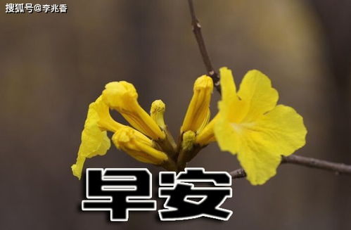 正能量滿(mǎn)滿(mǎn)的句子經(jīng)典短句,早上起床正能量滿(mǎn)滿(mǎn)的句子,正能量滿(mǎn)滿(mǎn)的句子經(jīng)典長(cháng)句