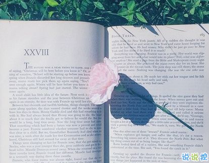 中考正能量的句子,中考正能量的句子經(jīng)典語(yǔ)句,中考拼搏努力正能量的句子