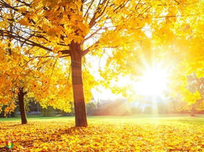 放松心情的句子簡(jiǎn)短,正能量開(kāi)心活潑的句子,正能量開(kāi)心的句子經(jīng)典語(yǔ)句