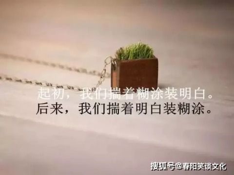 句子,能量,努力,心情