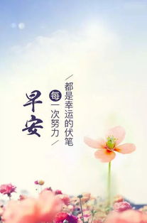 每日早安語(yǔ)句正能量的句子