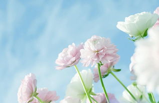 正能量句子簡(jiǎn)短感悟,工作正能量句子簡(jiǎn)短感悟,人生正能量勵志的句子感悟