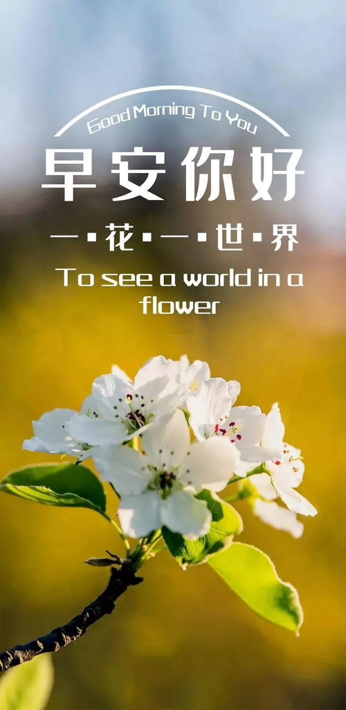 早安朋友圈很贊的說(shuō)說(shuō)正能量句子