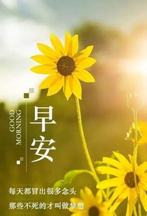 早安發(fā)圈吸引人的句子正能量晚安,早安發(fā)圈吸引人的句子發(fā)圈,微商發(fā)圈吸引人的句子