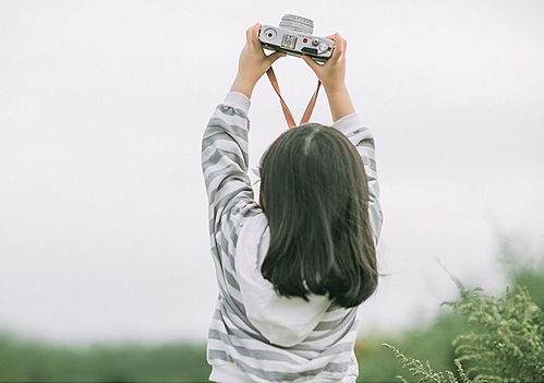 為生活努力拼搏正能量的句子,學(xué)生努力拼搏正能量的句子,團隊努力拼搏正能量的句子