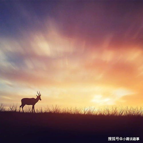 心態(tài)陽(yáng)光正能量句子