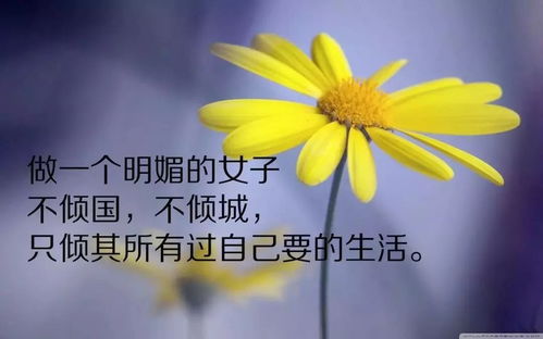 早上好正能量的短句子大全,女人豁達正能量的短句子,正能量英語(yǔ)短句子大全