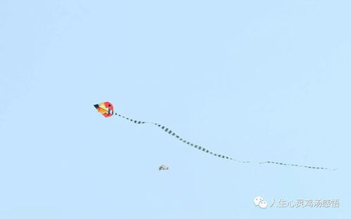 積極向上的句子正能量人生團隊,積極向上的句子青春正能量生活,積極向上的句子陽(yáng)光人生正能量青春