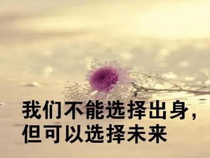 早安語(yǔ)錄正能量的句子勵志的句子