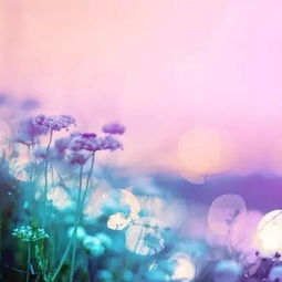 鼓勵孩子的正能量的句子經(jīng)典語(yǔ)句