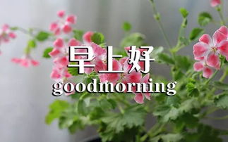 經(jīng)典,早安,句子,語(yǔ)錄