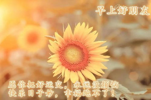 積極向上正能量的句子人生生活