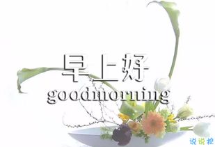 句子,能量,早上