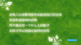 用來(lái)分享的具有正能量的句子