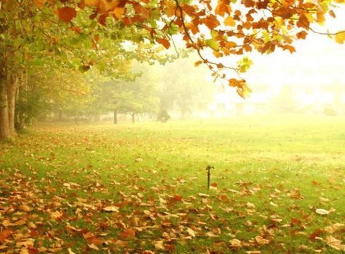 對待顧客的正能量句子