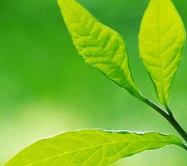 委屈正能量句子說(shuō)說(shuō)心情短語(yǔ)