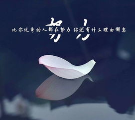 高考,短句,句子,勵志