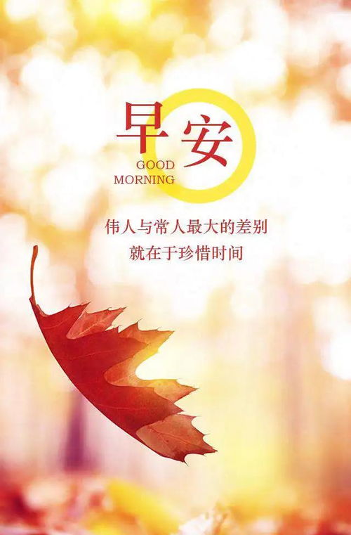 早安勵志心情正能量的句子,早安的正能量的句子說(shuō)說(shuō)心情,早安勵志正能量的句子