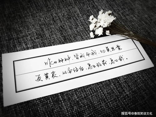 正能量溫暖人心的短句子