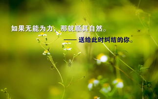 鼓勵學(xué)生正能量句子