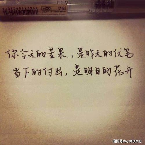 超越和蛻變的正能量句子,經(jīng)歷蛻變正能量句子,從懵懂無(wú)知蛻變到成熟的句子正能量