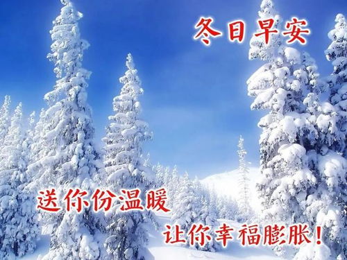 風(fēng)雪,抗戰,句子,能量