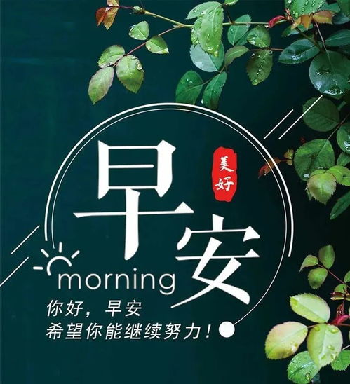 早餐正能量句子勵志,勵志的早餐心語(yǔ)正能量句子(2),早餐早安正能量句子
