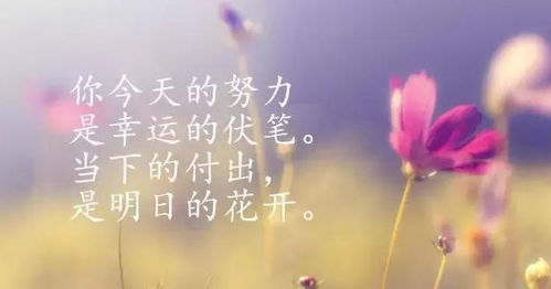 早安勵志正能量滿(mǎn)滿(mǎn)的句子朋友圈,早安勵志正能量滿(mǎn)滿(mǎn)的句子簡(jiǎn)短,早安勵志正能量滿(mǎn)滿(mǎn)的句子短語(yǔ)