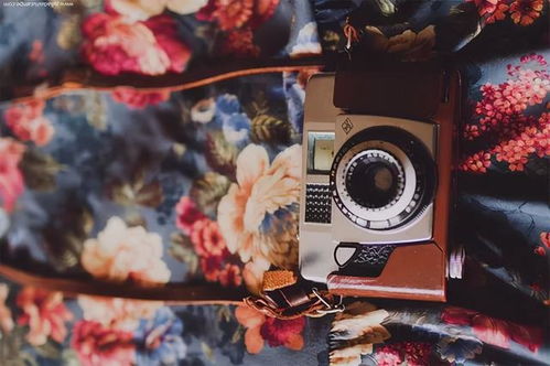 小說(shuō)里正能量的句子