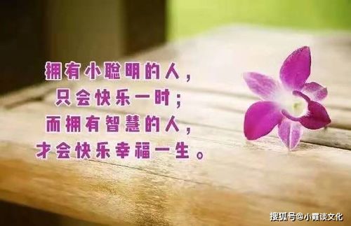 句子,朋友圈,能量,看書(shū)