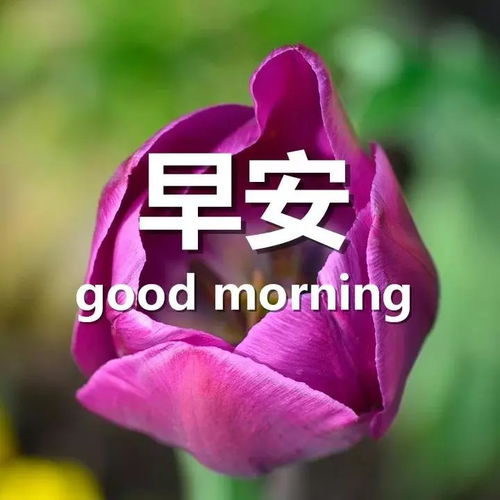 人生正能量的經(jīng)典短句子,人生正能量的短句子勵志,人生心態(tài)正能量短句子