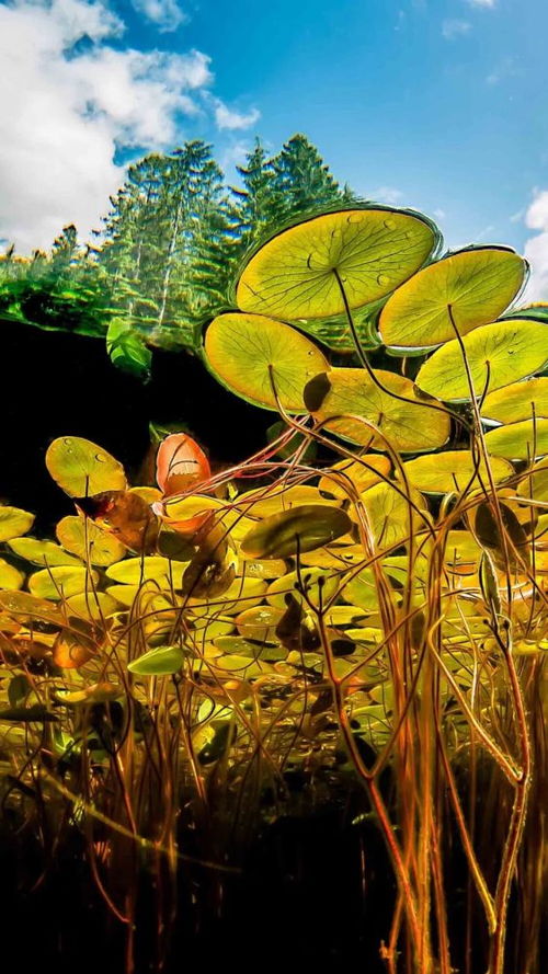 好聽(tīng)的正能量愛(ài)情句子