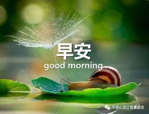 句子,能量,問(wèn)候