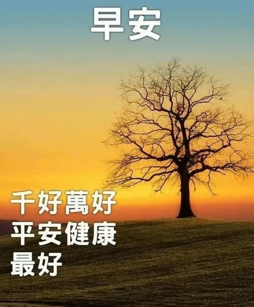 微信陽(yáng)光正能量的句子,微信朋友圈正能量的句子,微信正能量勵志的句子