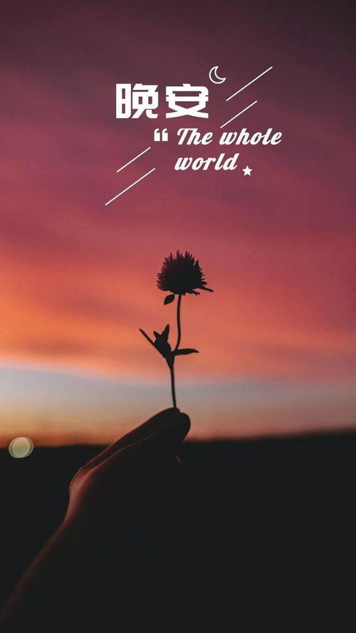 抖音發(fā)圈句子正能量,發(fā)圈的精致句子正能量,發(fā)圈吸引人的句子正能量