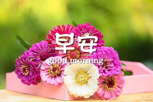 早安幽默正能量的句子說(shuō)說(shuō)心情,早安正能量的句子說(shuō)說(shuō)2021年,早安正能量的朋友圈說(shuō)說(shuō)的句子