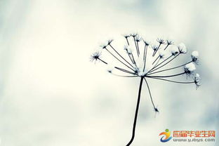 句子,能量,靜靜,等待